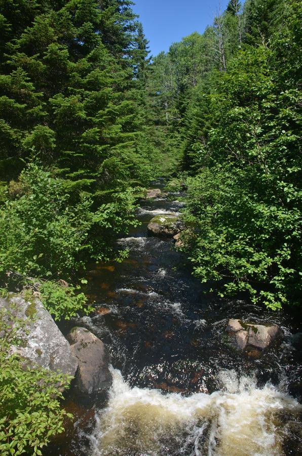 Le Ross - Les Chalets Spa Canada La Malbaie Extérieur photo